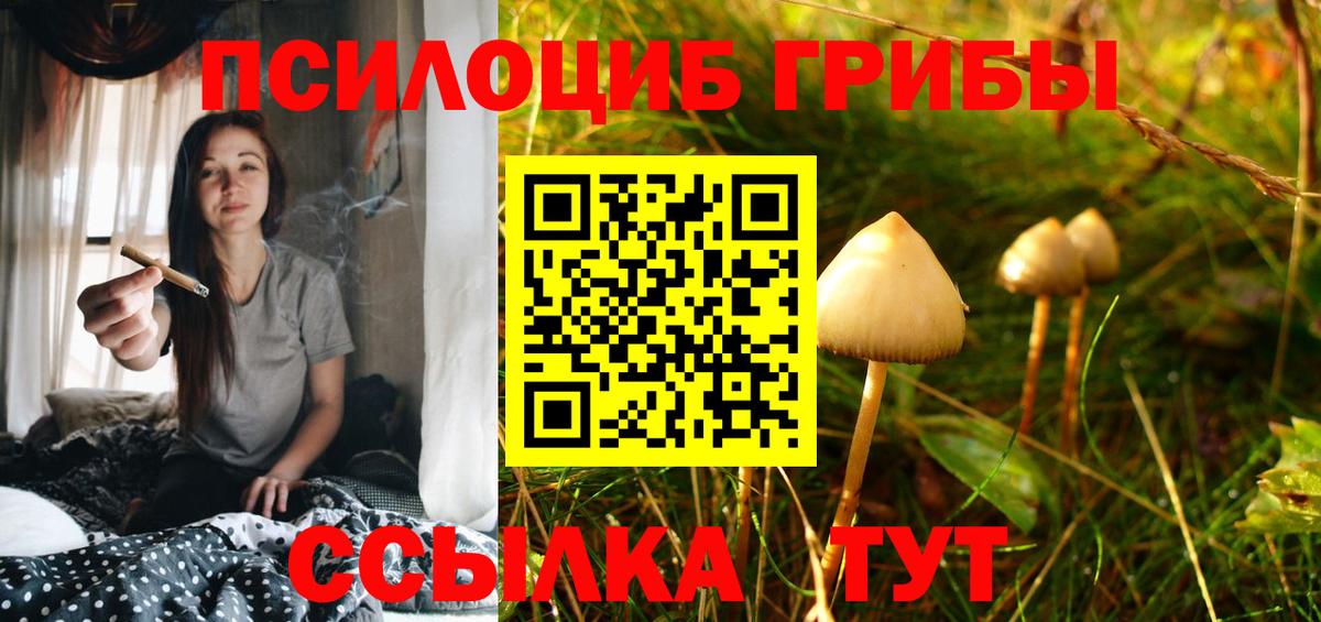 Псилоцибиновые грибы GOLDEN TEACHER Чита